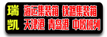 天津瑞凯海运国际物流有限公司