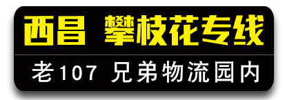 兄弟物流 四川西昌攀枝花专线