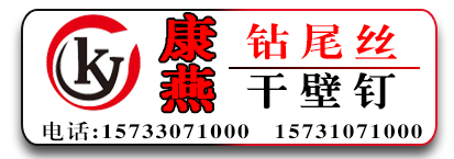 康燕钻尾螺丝 干壁钉