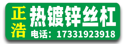 正浩热镀锌 丝杠