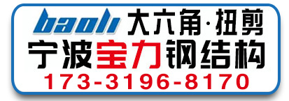 宁波宝力钢结构 大六角扭剪