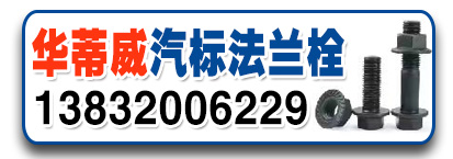 华蒂威汽标法兰栓