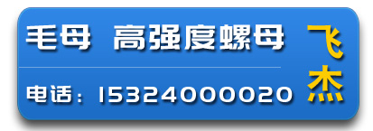 飞杰毛母 高强度螺母