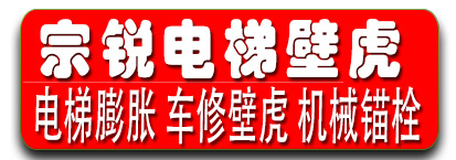 宗锐电梯壁虎 电梯膨胀 车修壁虎 机械锚栓