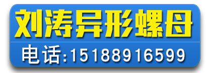 刘涛异型螺母