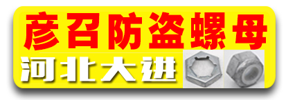 河北大进 彦召防盗母 防盗螺母
