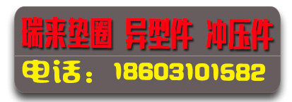 瑞来垫圈 平垫 弹垫 异型件 冲压件