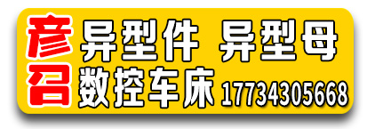 彦召异型件 异型母 数控车床