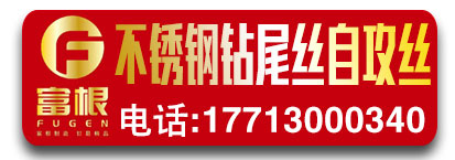 江苏富根不锈钢钻尾螺丝 不锈钢自攻丝