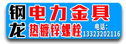 钢龙电力金具  热镀锌螺栓