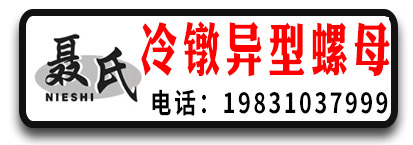 聂氏冷镦异型螺母