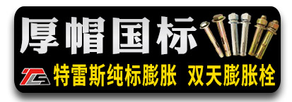 玖泰公司-厚帽国标 双天膨胀螺丝/特雷斯纯标膨胀螺栓