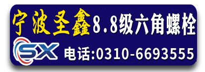 宁波圣鑫8.8级六角螺栓