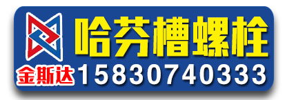 金斯达哈芬槽螺栓