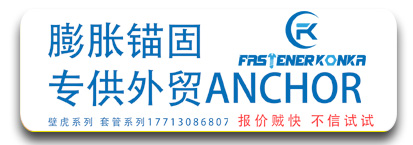 膨胀锚固 专供外贸ANCHOR