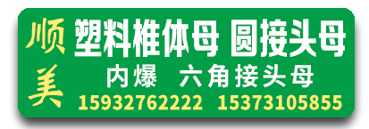 顺美塑料椎体母 圆接头母 内爆 六角接头母