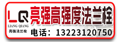 亮强高强度法兰栓 高强度法兰螺丝 高强度法兰螺栓  高强度法蓝栓