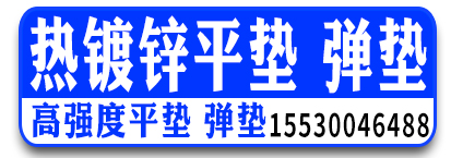 金邦昌川热镀锌平弹垫