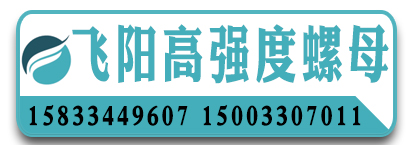飞阳高强度螺母