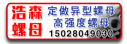 浩森螺母 定做异型螺母 高强度螺母