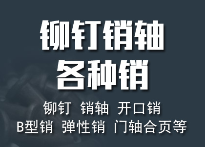 铆钉销轴，销
