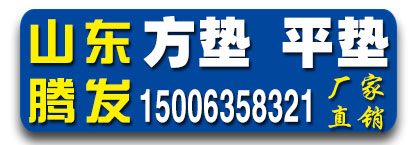 山东莘县腾发垫片