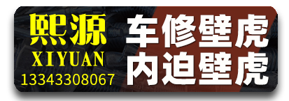 熙源车修壁虎 内迫壁虎