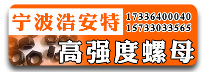 宁波浩安特高强度螺母