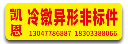 凯恩冷镦异形非标件