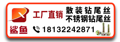 鲨鱼钻钻尾丝