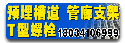 预埋槽道 管廊支架 T型螺栓 