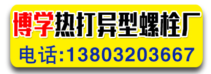 博学热打异型螺栓厂