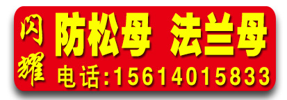 闪耀防松母法兰母一体盖母