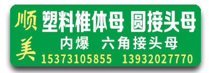 顺美塑料椎体母 圆接头母 内爆 六角接头母