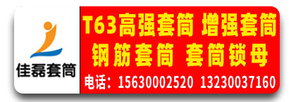 佳磊钢筋套筒  