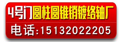 4号门圆柱销 圆锥销 镀络轴厂