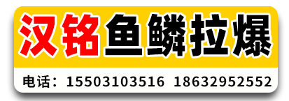 汉铭鱼鳞拉爆 