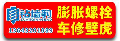 钻墙豹膨胀螺栓 车修壁虎